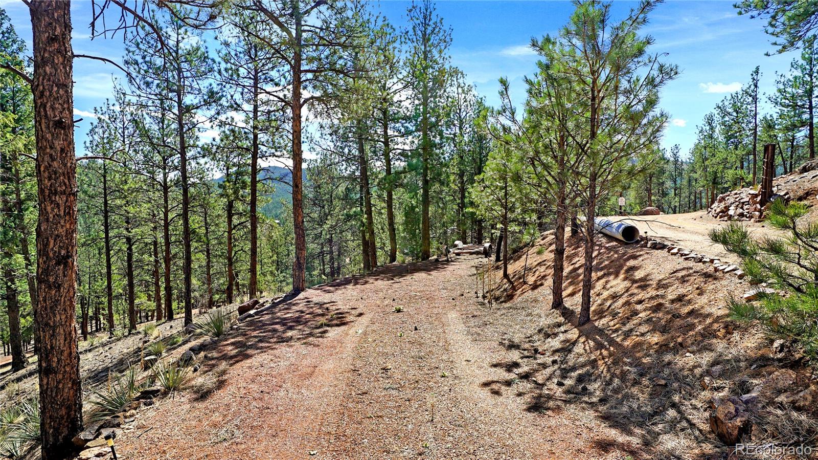 16536 Ouray Road West Pine, CO 80470 - Photo 32 of 35
