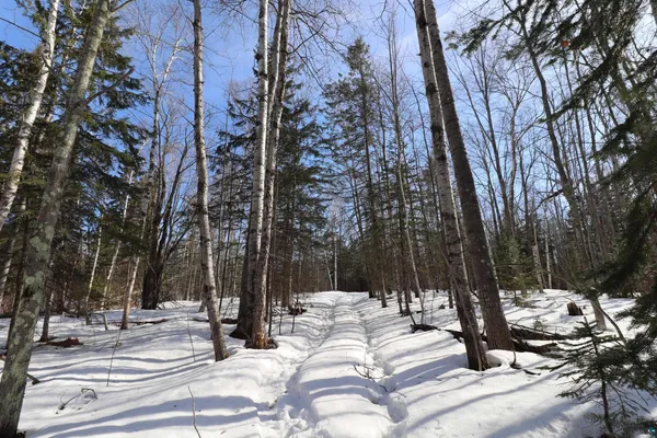 $189,900 | 24550 State Highway 13, Bayfield, WI 54814