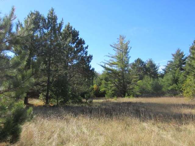 12-lots 12-lots Sand Lake Road Mercer, WI 54547 - Photo 14 of 20 Gallery Image 14