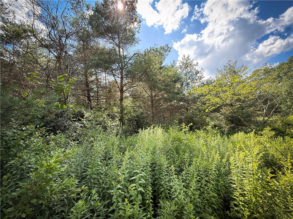 North Greenbush Road Erin, NY 14838 - Photo 17 of 46 Gallery Image 17