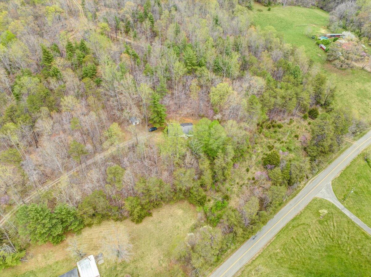 6463 Dry Hill Road Ferrum, VA 24088 - Photo 34 of 41 a view of a forest