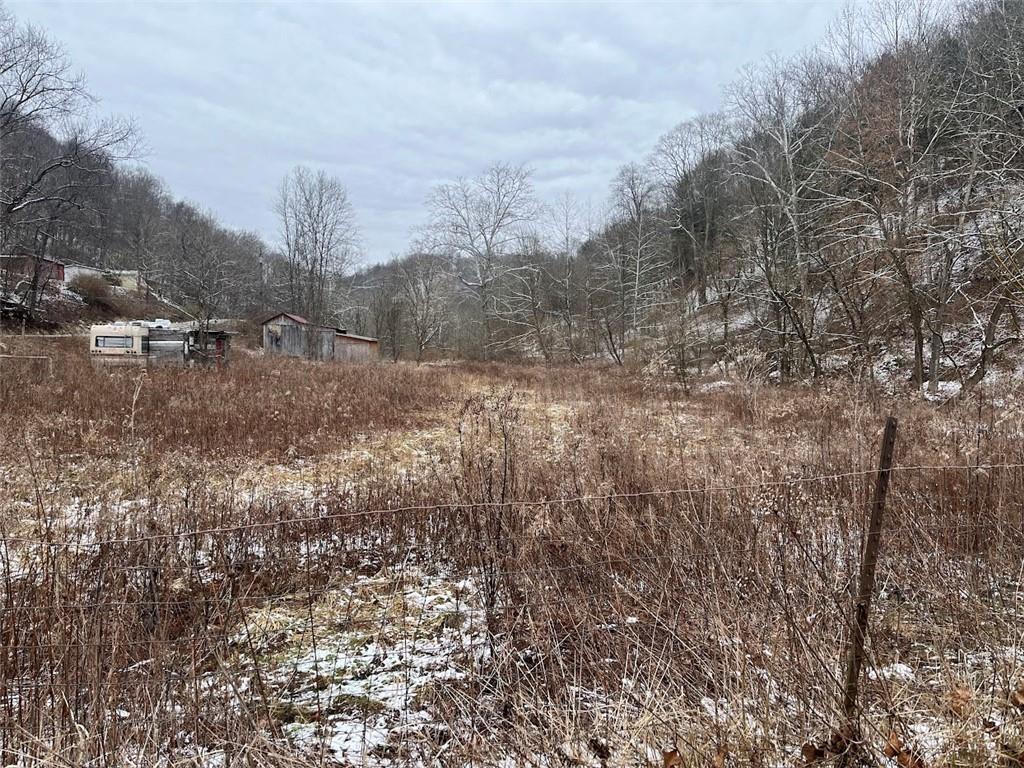 402 Deep Valley Road Aleppo, PA 15310 - Photo 4 of 7 a view of a dry yard with trees