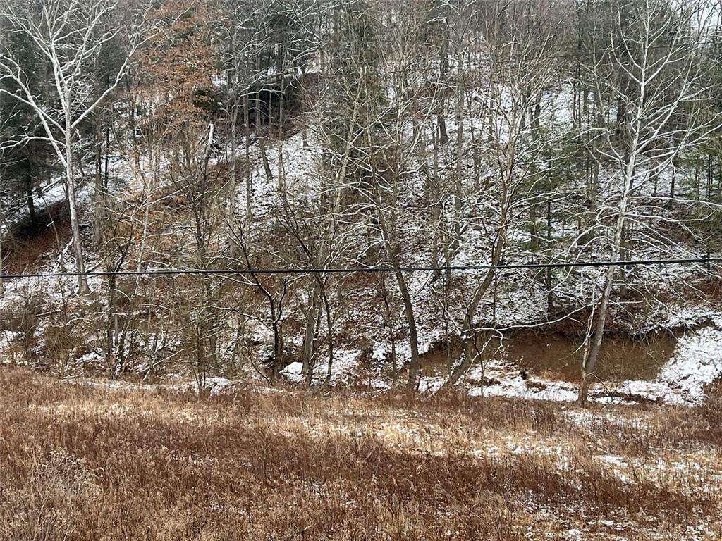 402 Deep Valley Road Aleppo, PA 15310 - Photo 5 of 7 a view of house with yard