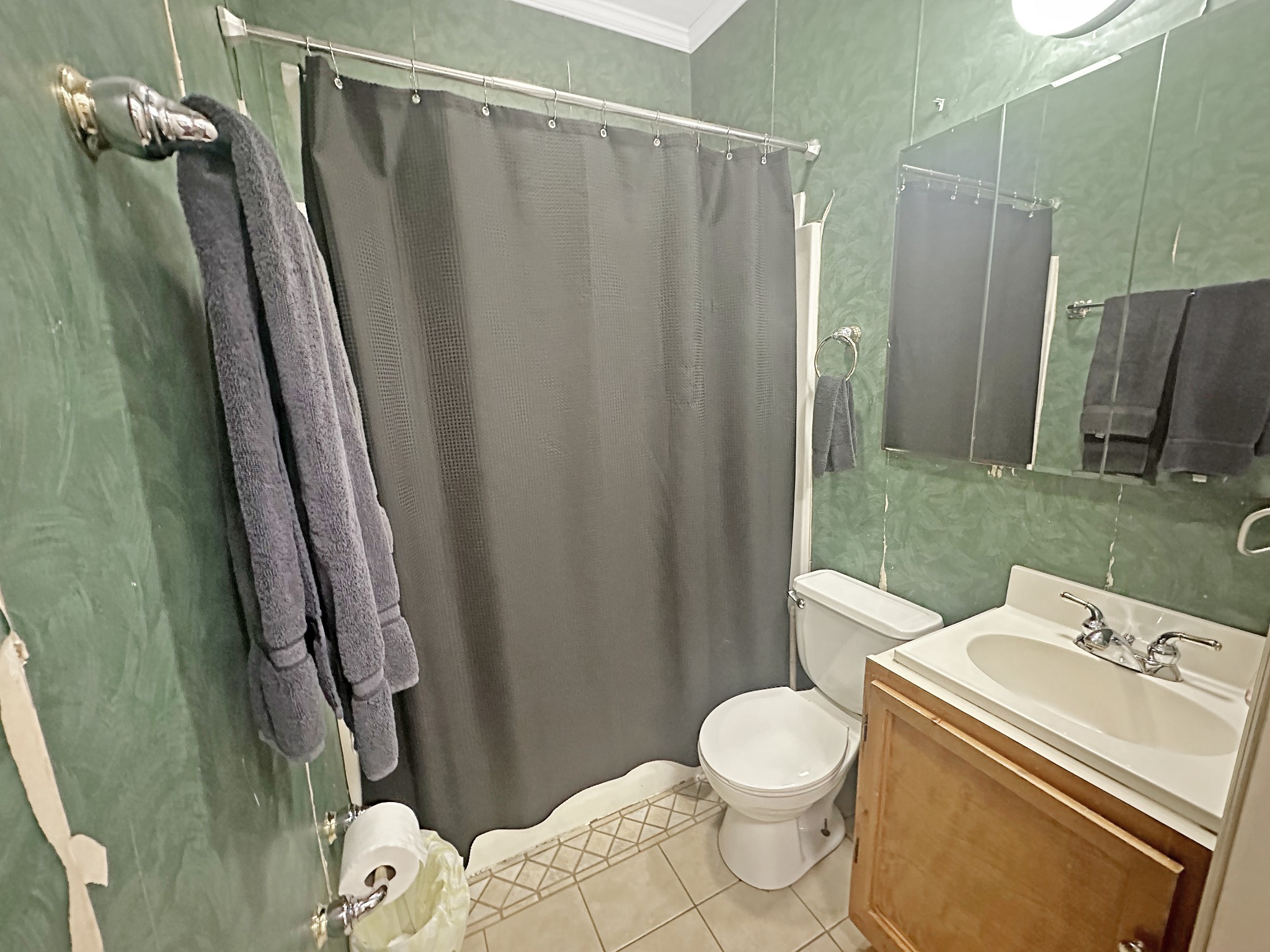 7526 South Swift Road Goodlettsville, TN 37072 - Photo 10 of 15 a bathroom with a sink a toilet and a shower