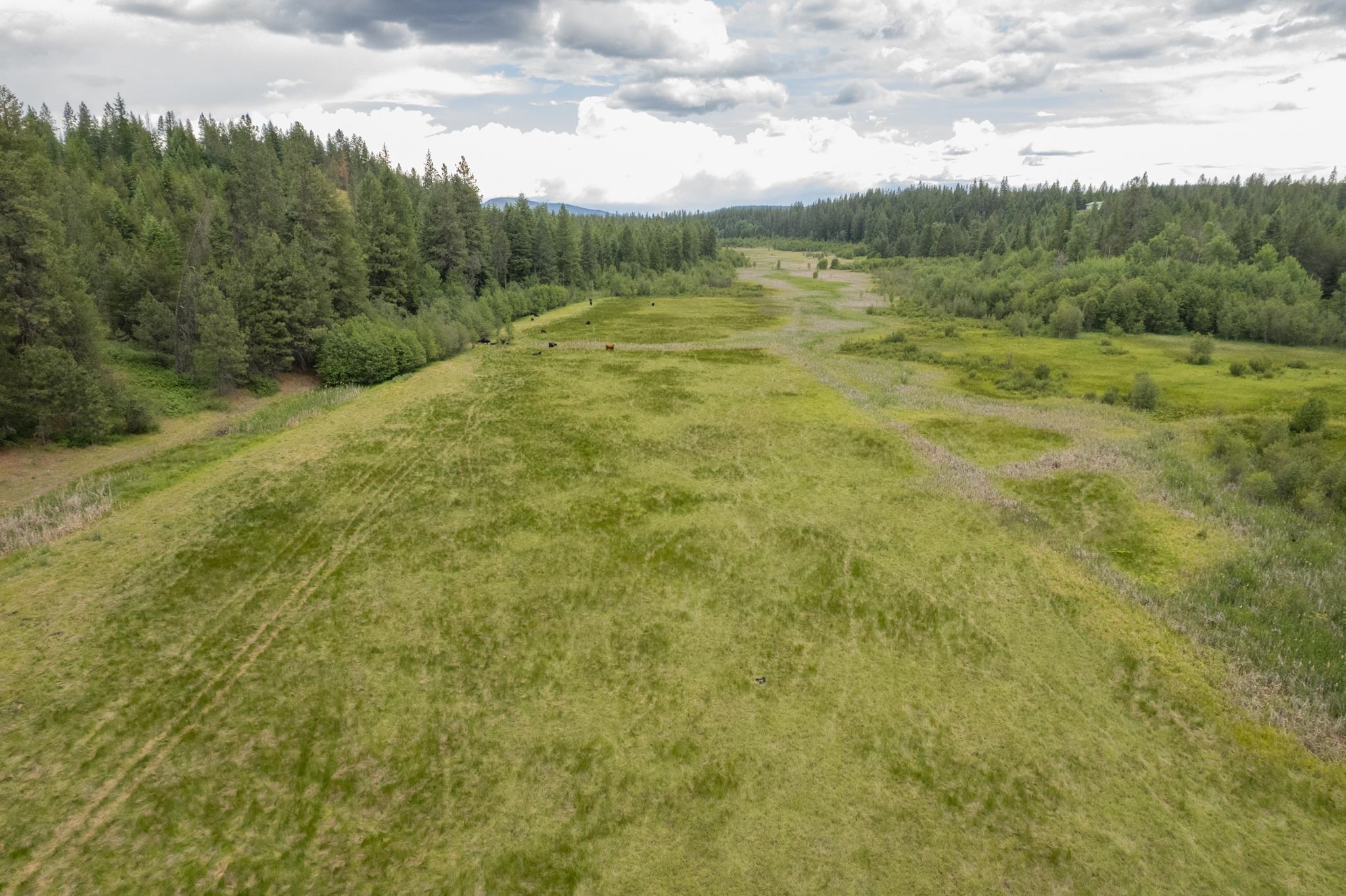 4110 Cemetery Tract Ab Road Springdale, WA 99173 - Photo 19 of 22