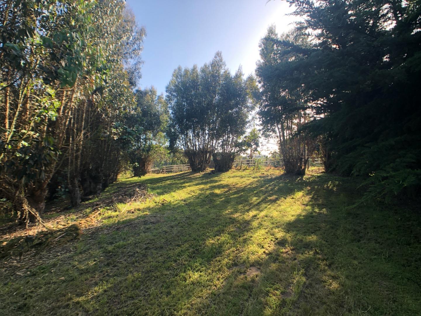 15719 Meridian Road Salinas, CA 93907 - Photo 14 of 58 Gallery Image 14