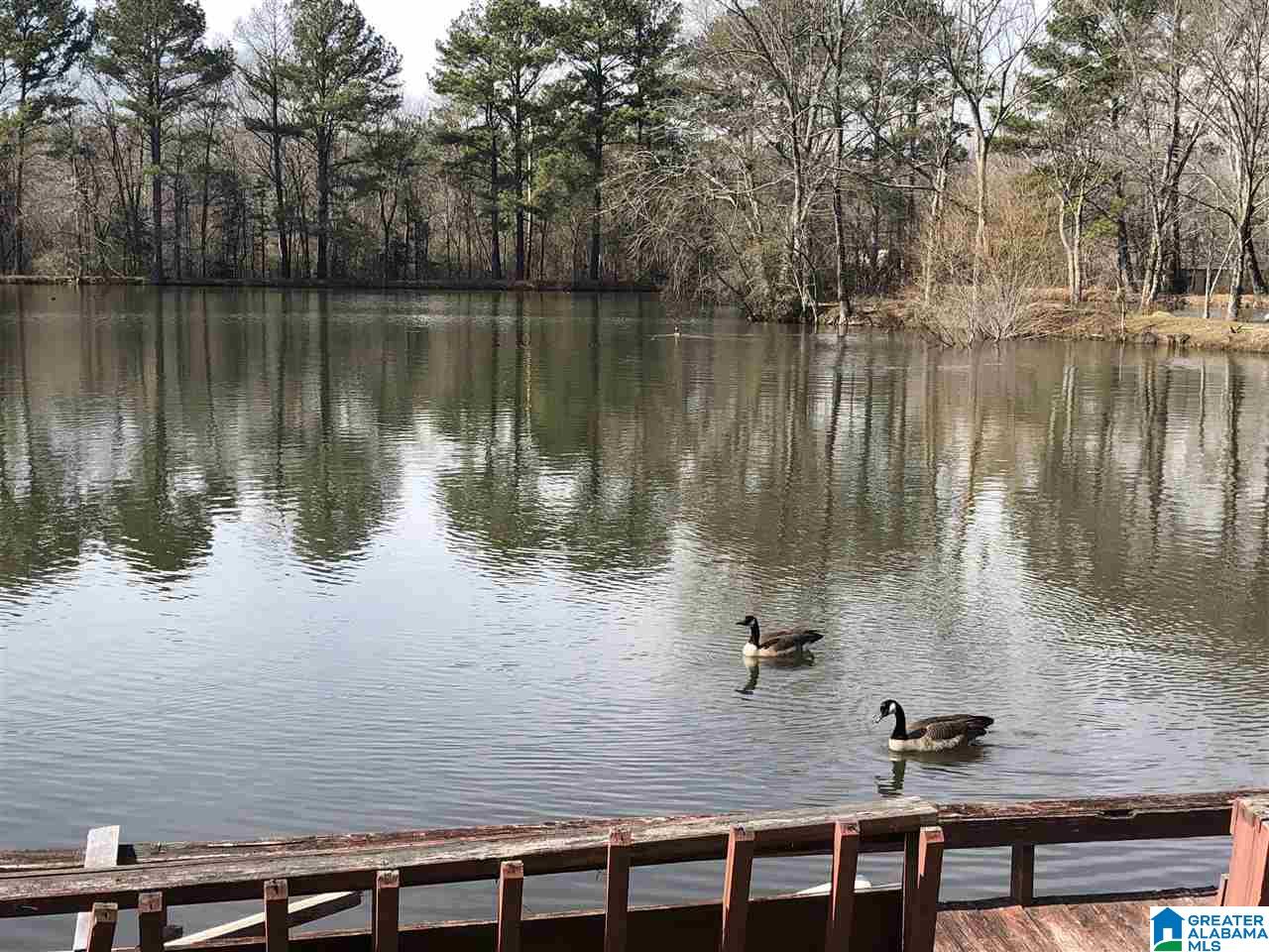 1656 Old Springville Road Birmingham, AL 35215 - Photo 5 of 44