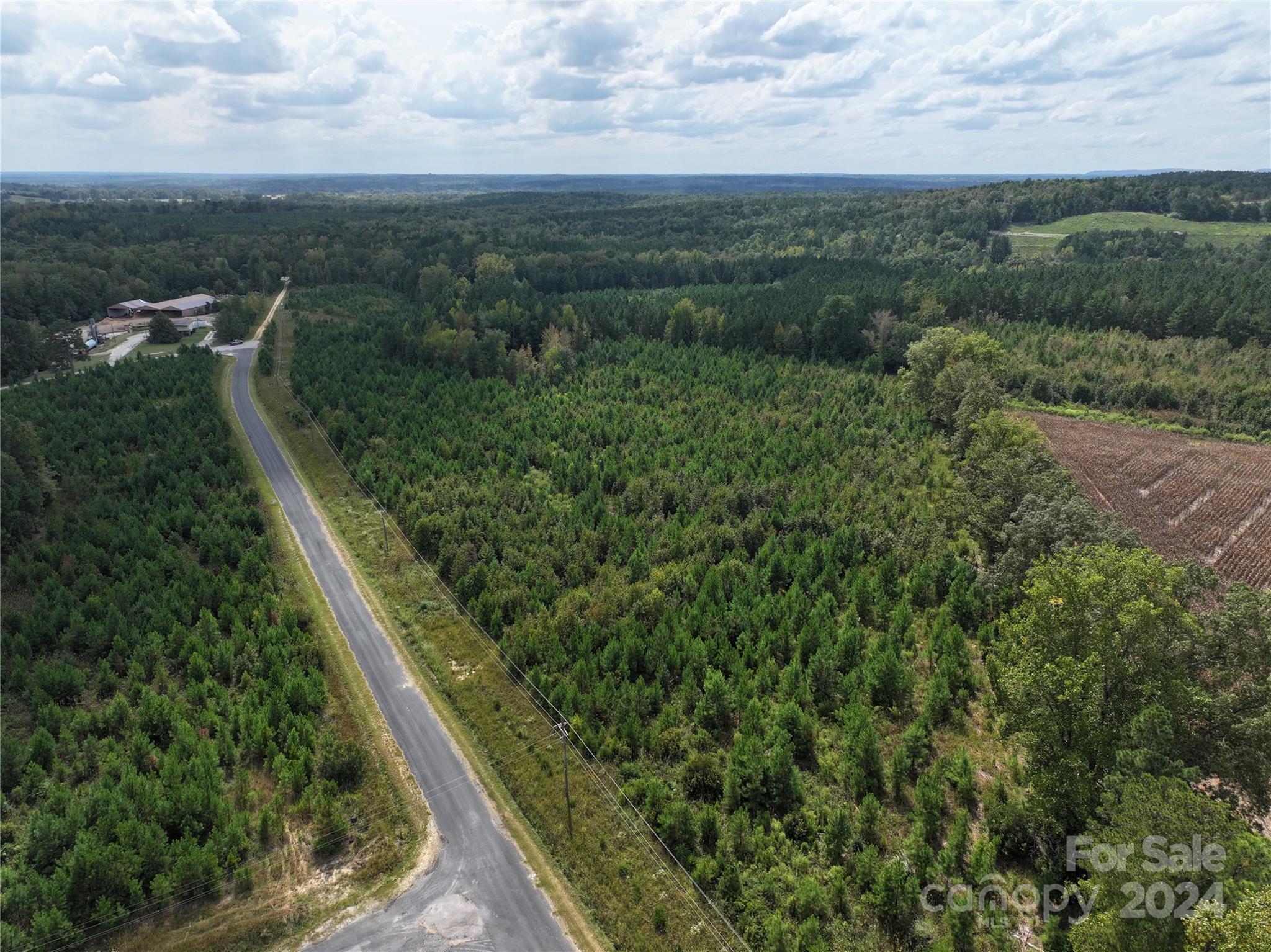 0 Jl Love Road Jefferson, SC 29718 - Photo 6 of 21 Gallery Image 6