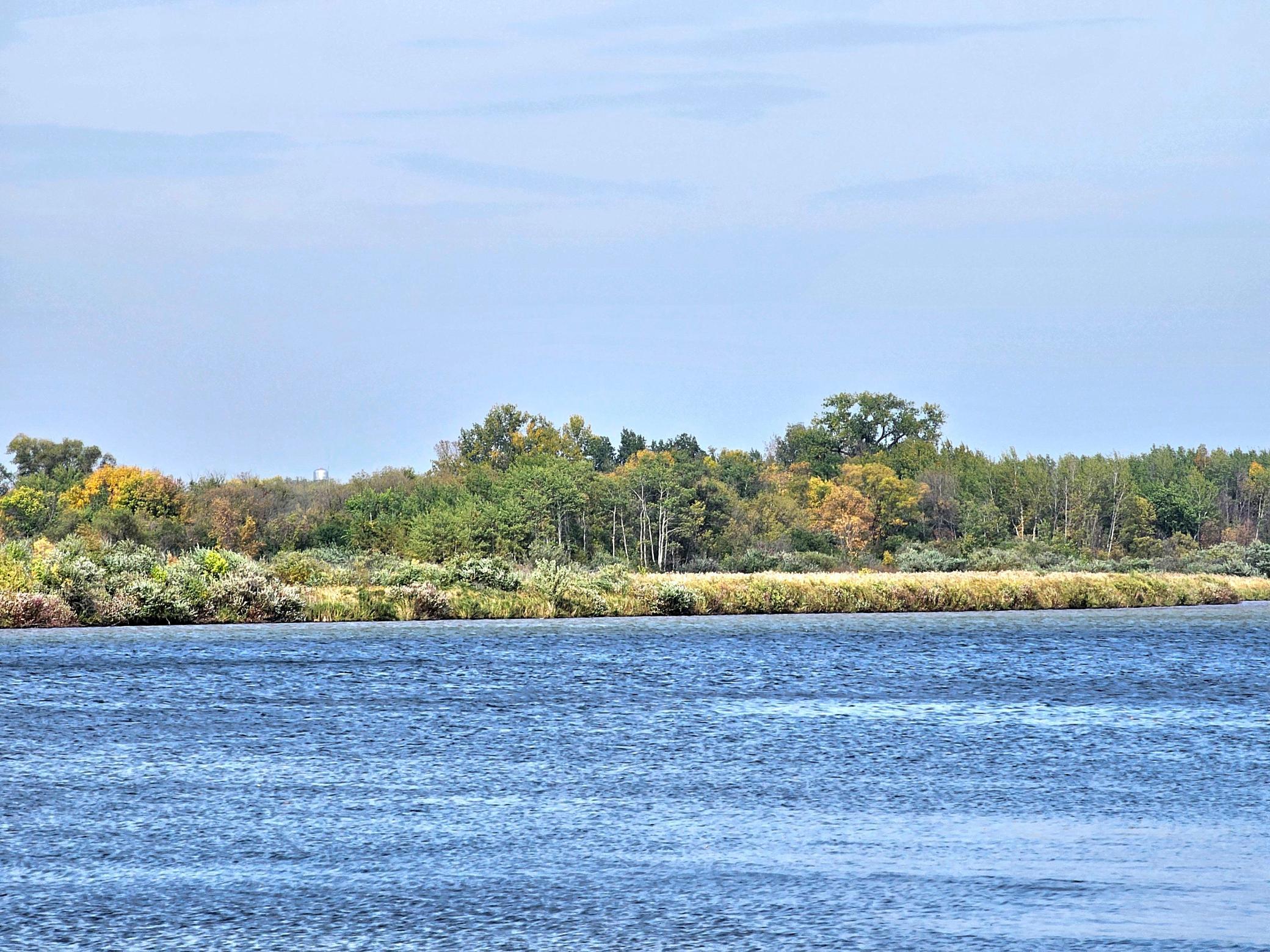 22270 County State Aid Highway 9 Darwin, MN 55324 - Photo 12 of 35