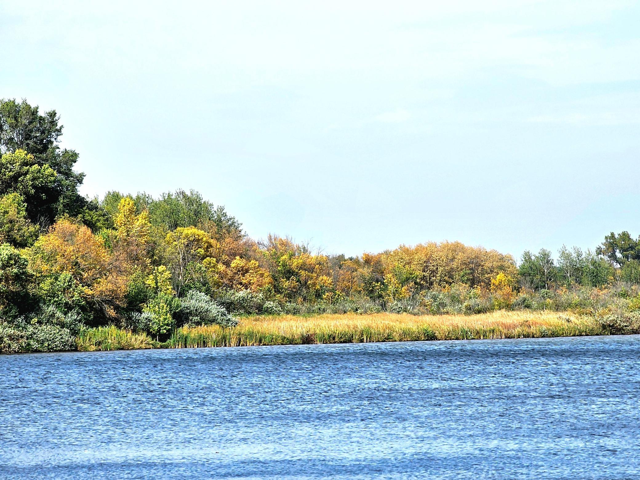 22270 County State Aid Highway 9 Darwin, MN 55324 - Photo 13 of 35