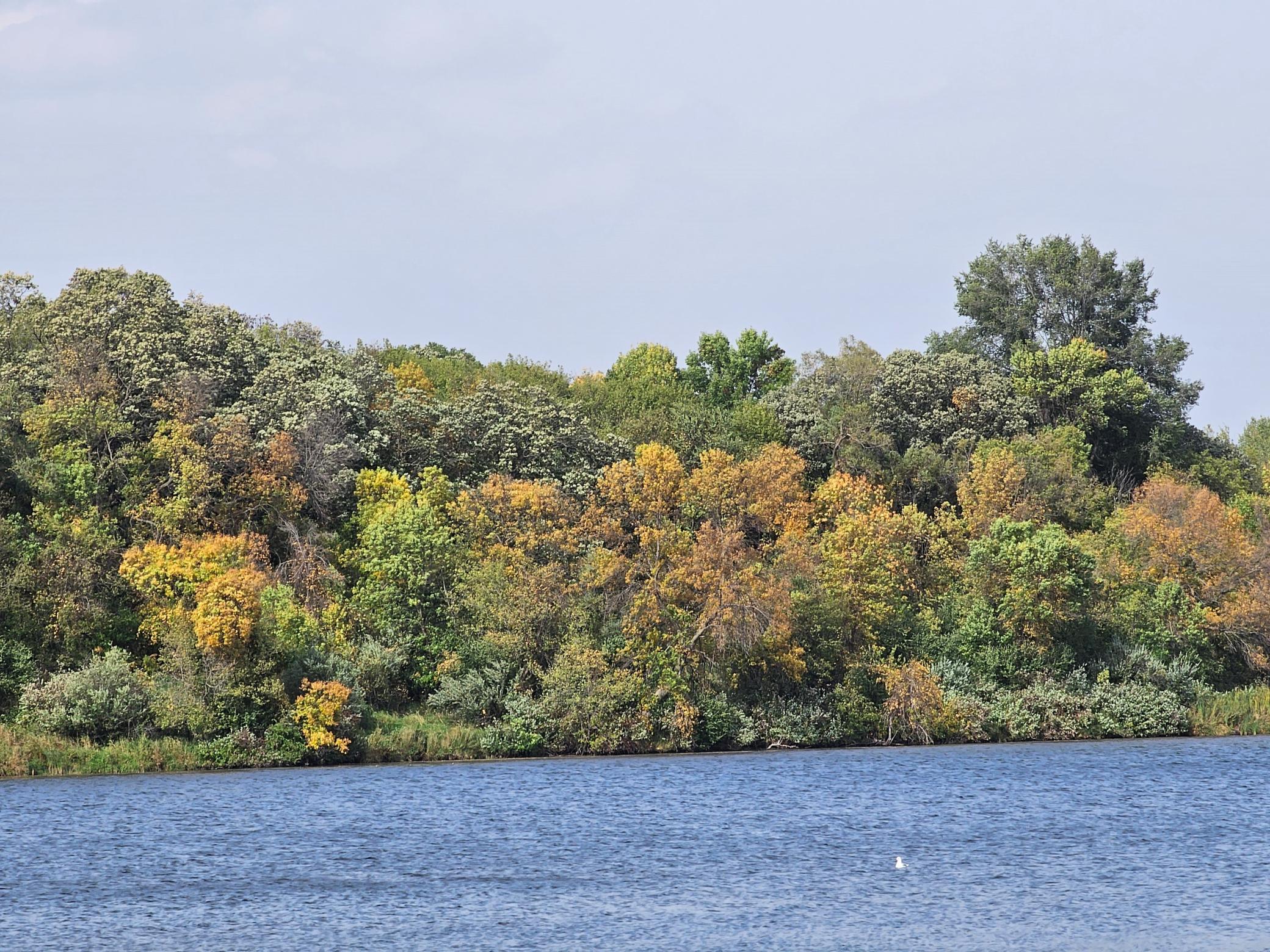 22270 County State Aid Highway 9 Darwin, MN 55324 - Photo 14 of 35