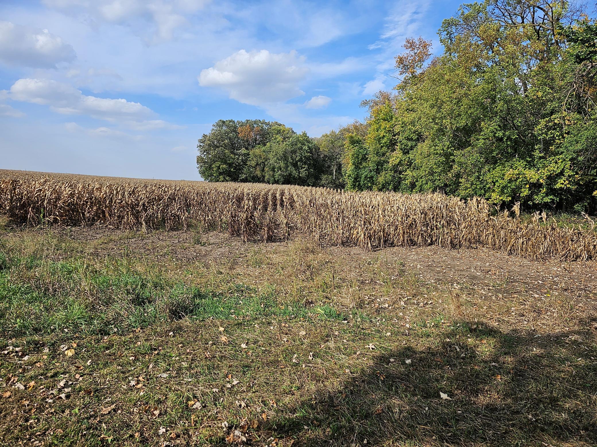 22270 County State Aid Highway 9 Darwin, MN 55324 - Photo 15 of 35
