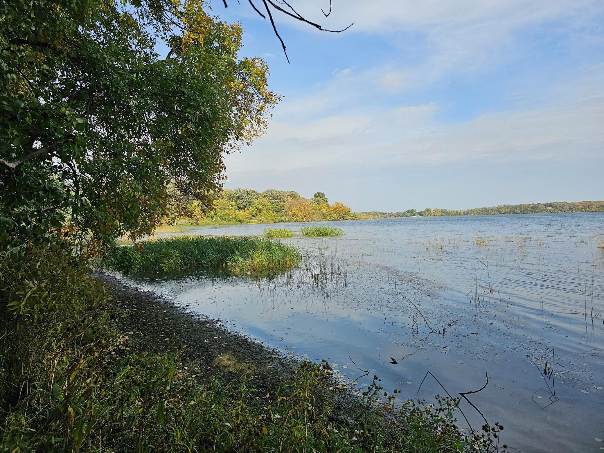 22270 County State Aid Highway 9 Darwin, MN 55324 - Photo 16 of 35