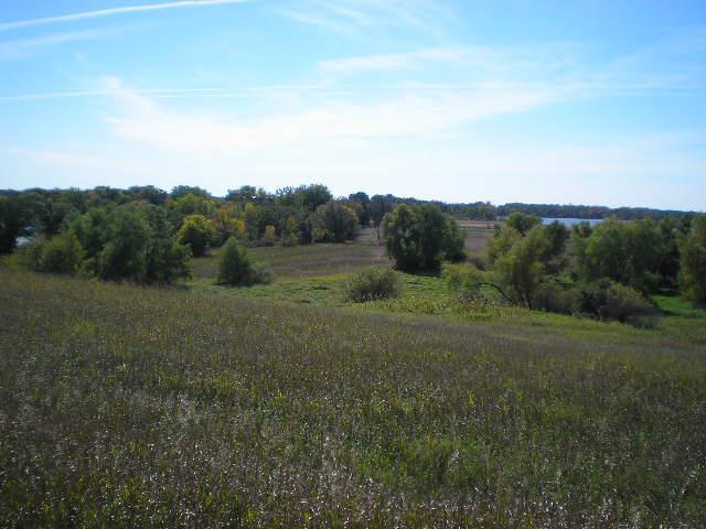 22270 County State Aid Highway 9 Darwin, MN 55324 - Photo 17 of 35