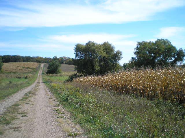 22270 County State Aid Highway 9 Darwin, MN 55324 - Photo 18 of 35