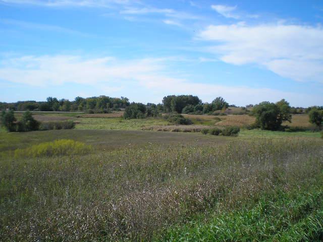 22270 County State Aid Highway 9 Darwin, MN 55324 - Photo 22 of 35