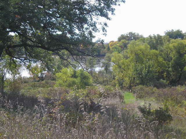 22270 County State Aid Highway 9 Darwin, MN 55324 - Photo 23 of 35