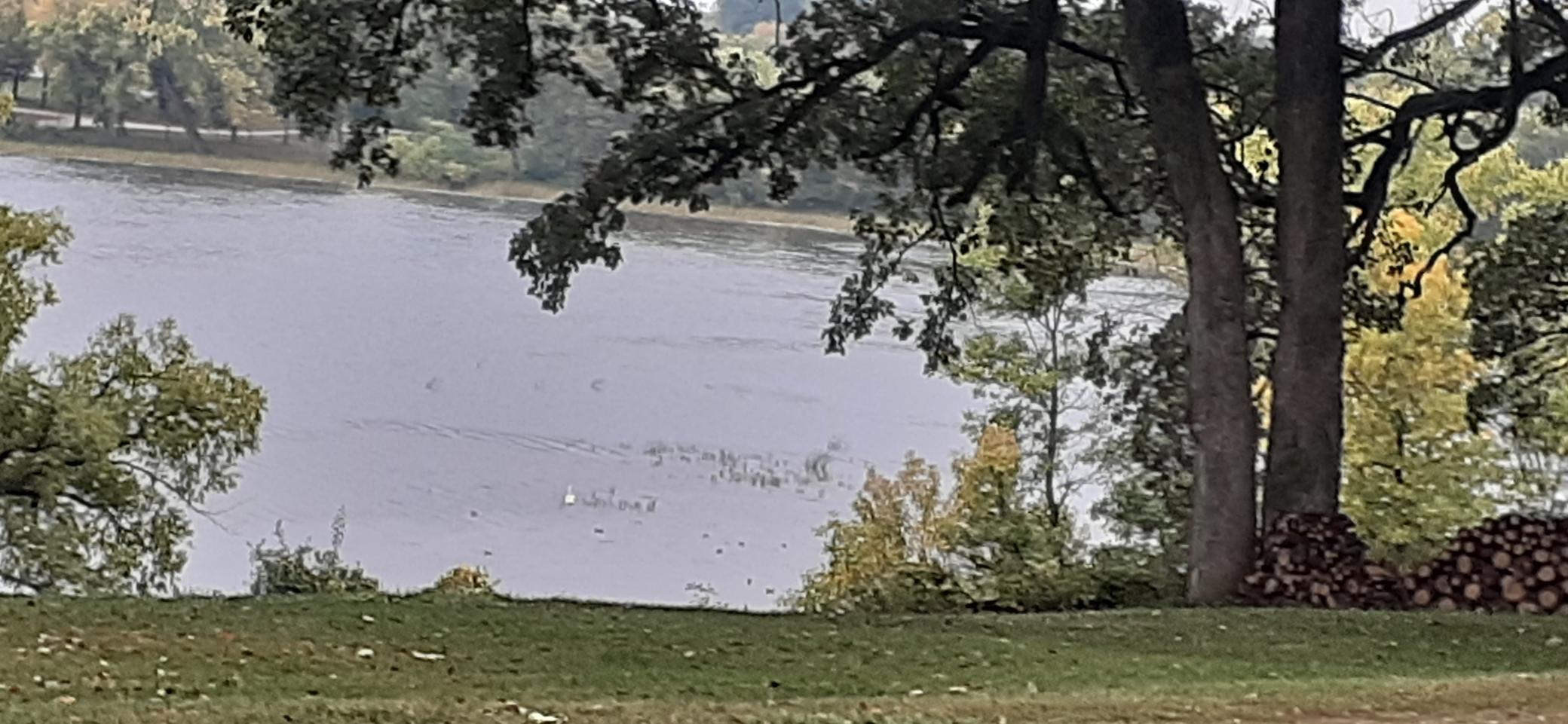 22270 County State Aid Highway 9 Darwin, MN 55324 - Photo 27 of 35