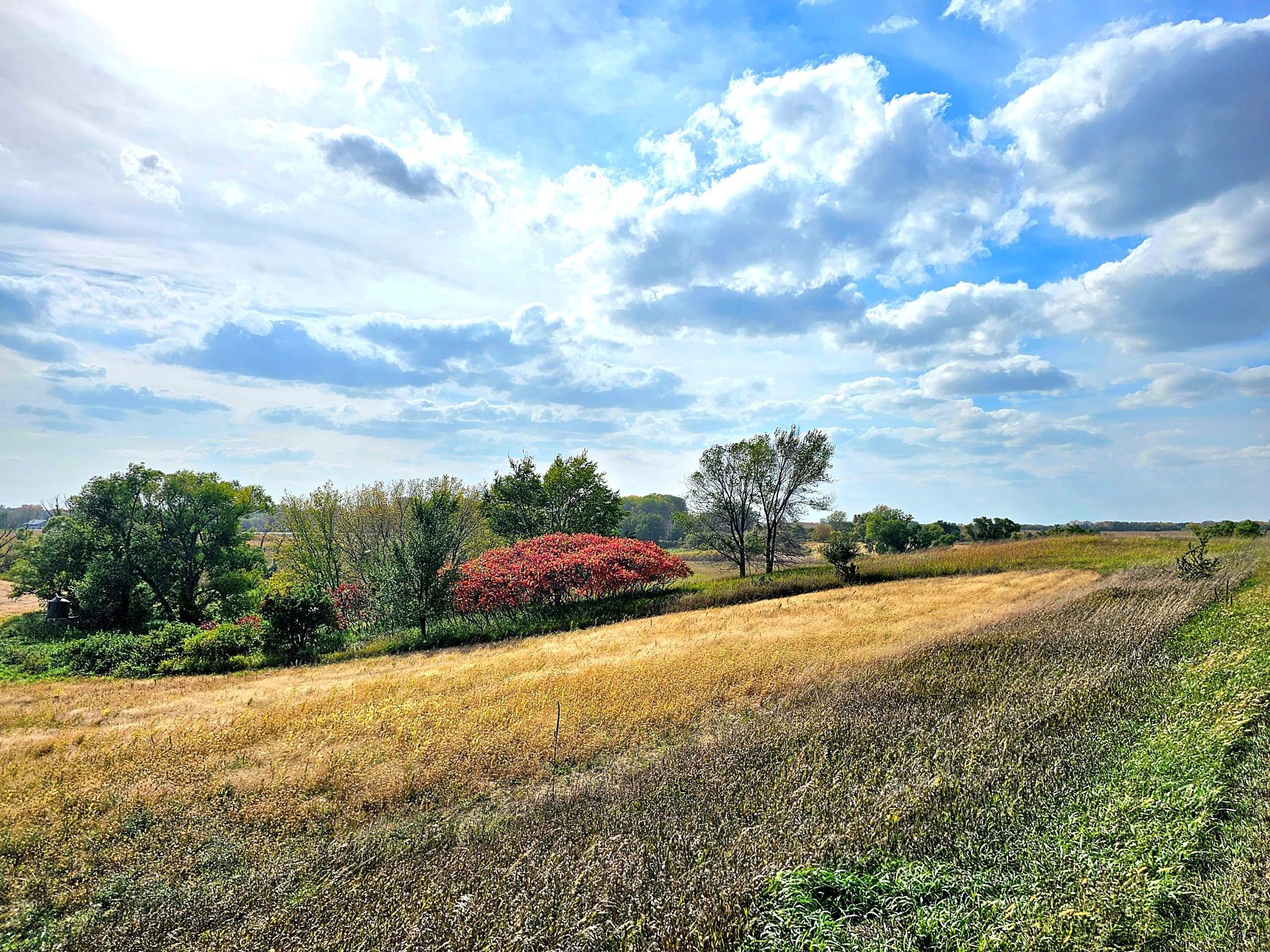 22270 County State Aid Highway 9 Darwin, MN 55324 - Photo 3 of 35