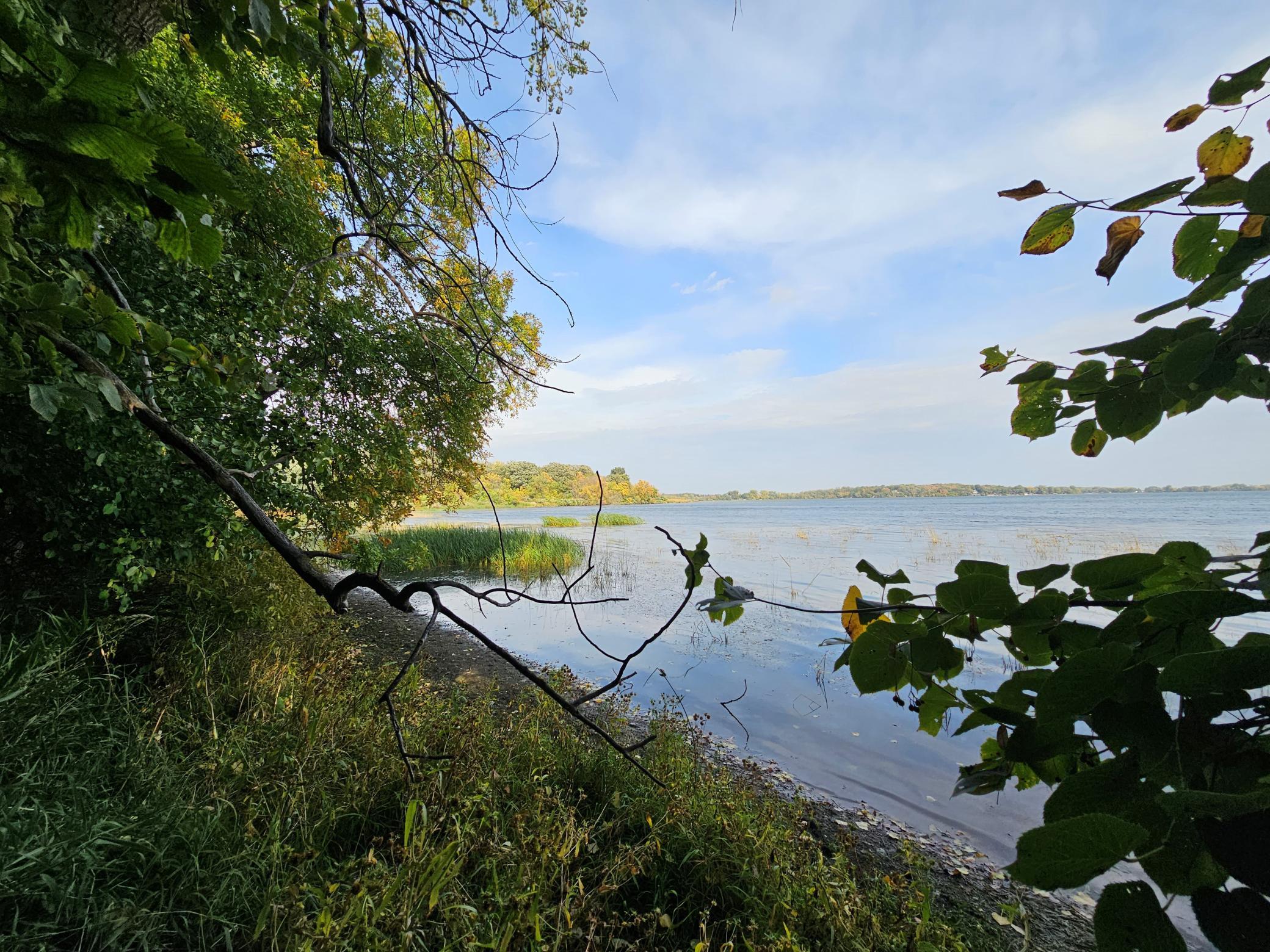 22270 County State Aid Highway 9 Darwin, MN 55324 - Photo 4 of 35