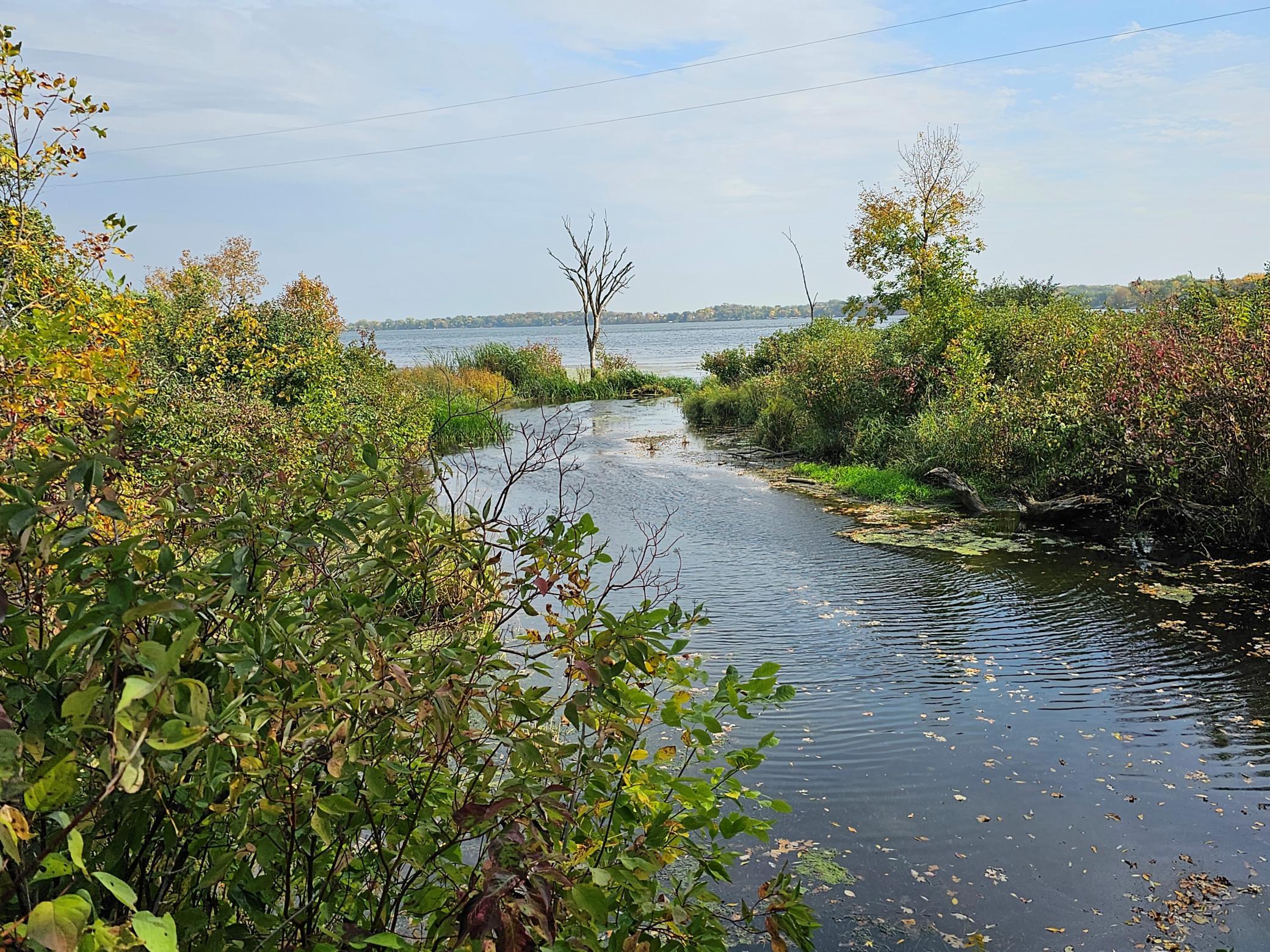 22270 County State Aid Highway 9 Darwin, MN 55324 - Photo 5 of 35