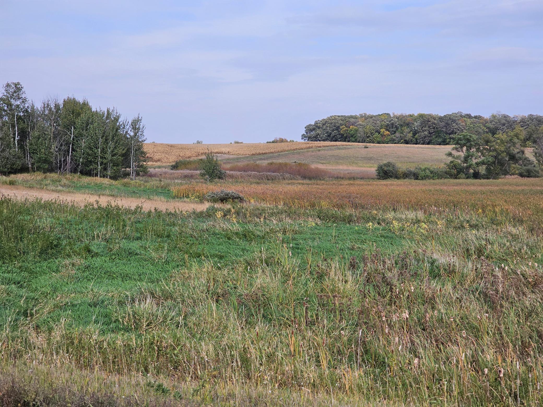 22270 County State Aid Highway 9 Darwin, MN 55324 - Photo 6 of 35