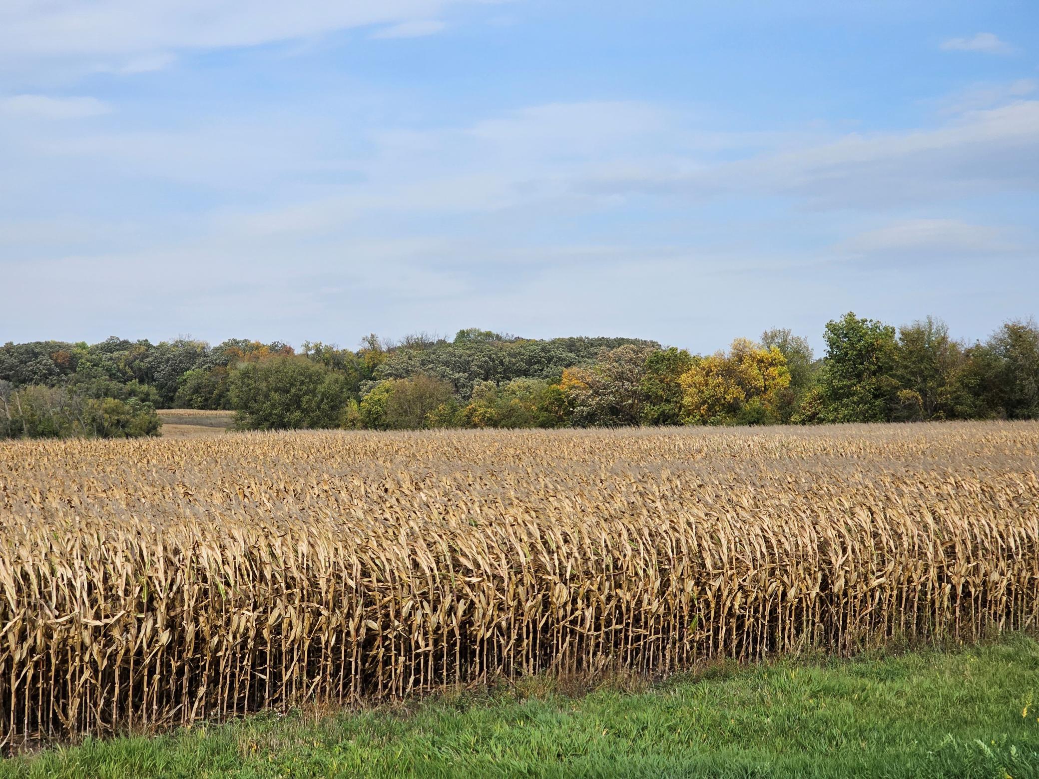 22270 County State Aid Highway 9 Darwin, MN 55324 - Photo 7 of 35