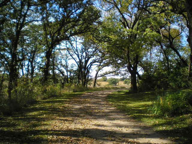 22270 County State Aid Highway 9 Darwin, MN 55324 - Photo 8 of 35