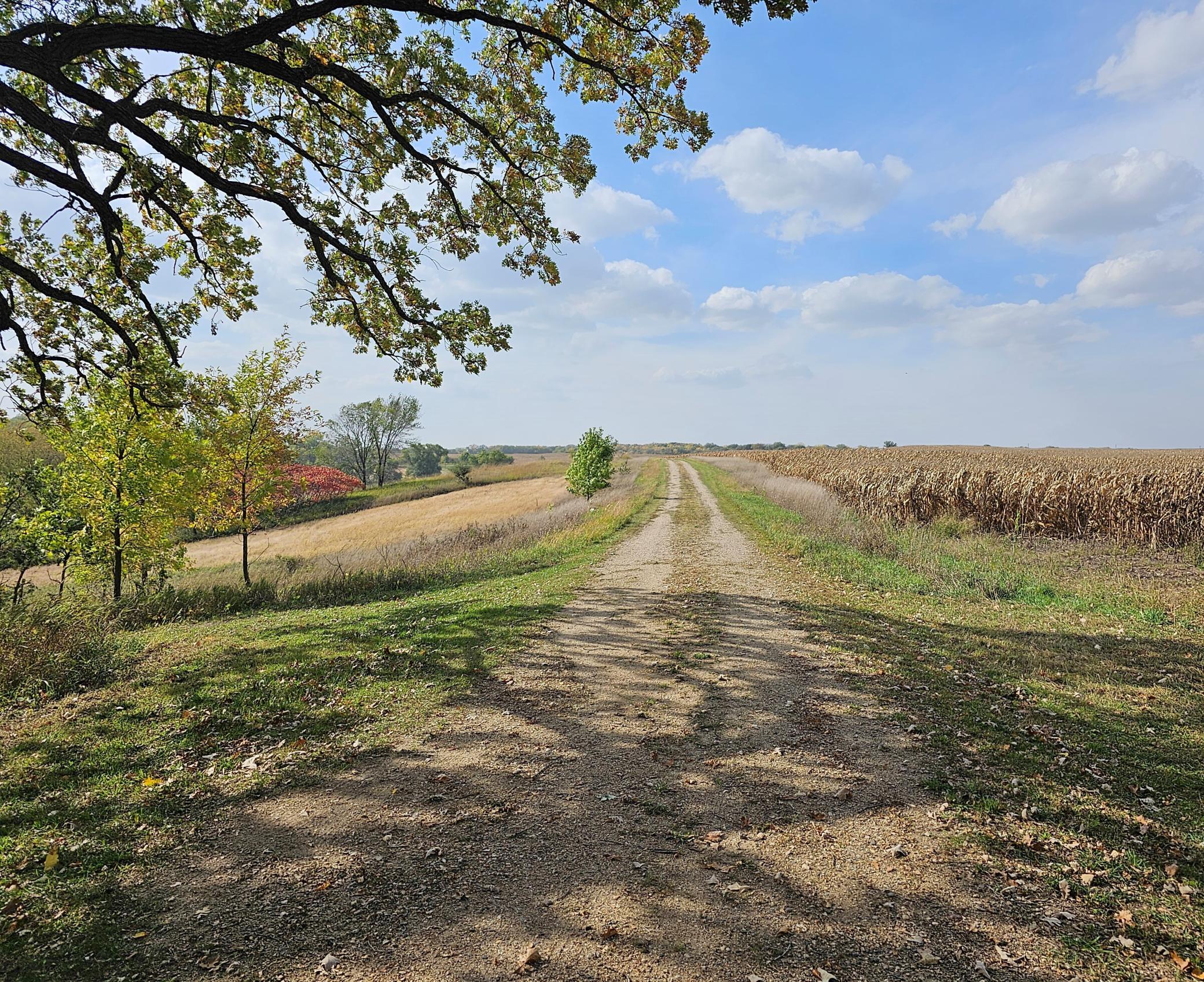 22270 County State Aid Highway 9 Darwin, MN 55324 - Photo 10 of 35