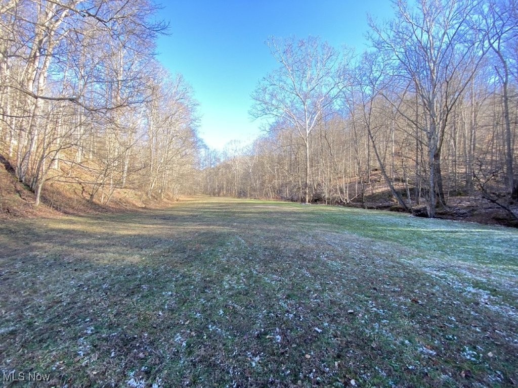 88 Ivy Road Walton, WV 25286 - Photo 4 of 37