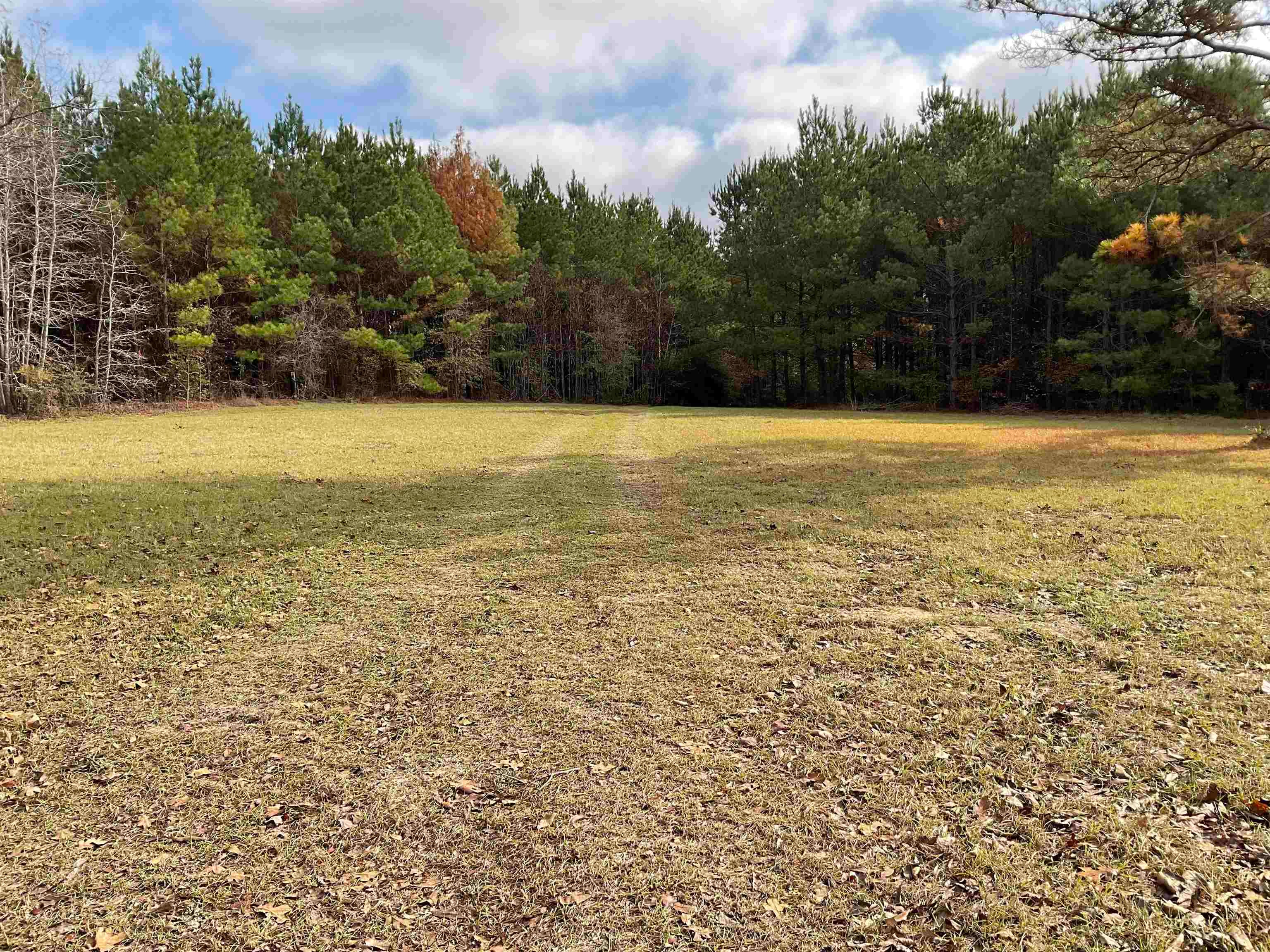 Tbd Buckhorn Road Karnack, TX 75661 - Photo 1 of 8 Gallery Image 1