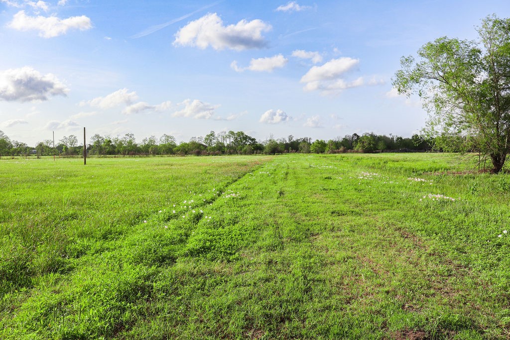 1115 Farm To Market 1462 Rosharon, TX 77583 - Photo 12 of 20