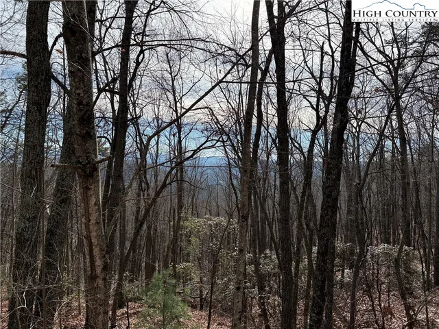$44,900 | Lot 36 Bobcat Mountain Road, Purlear, NC 28665