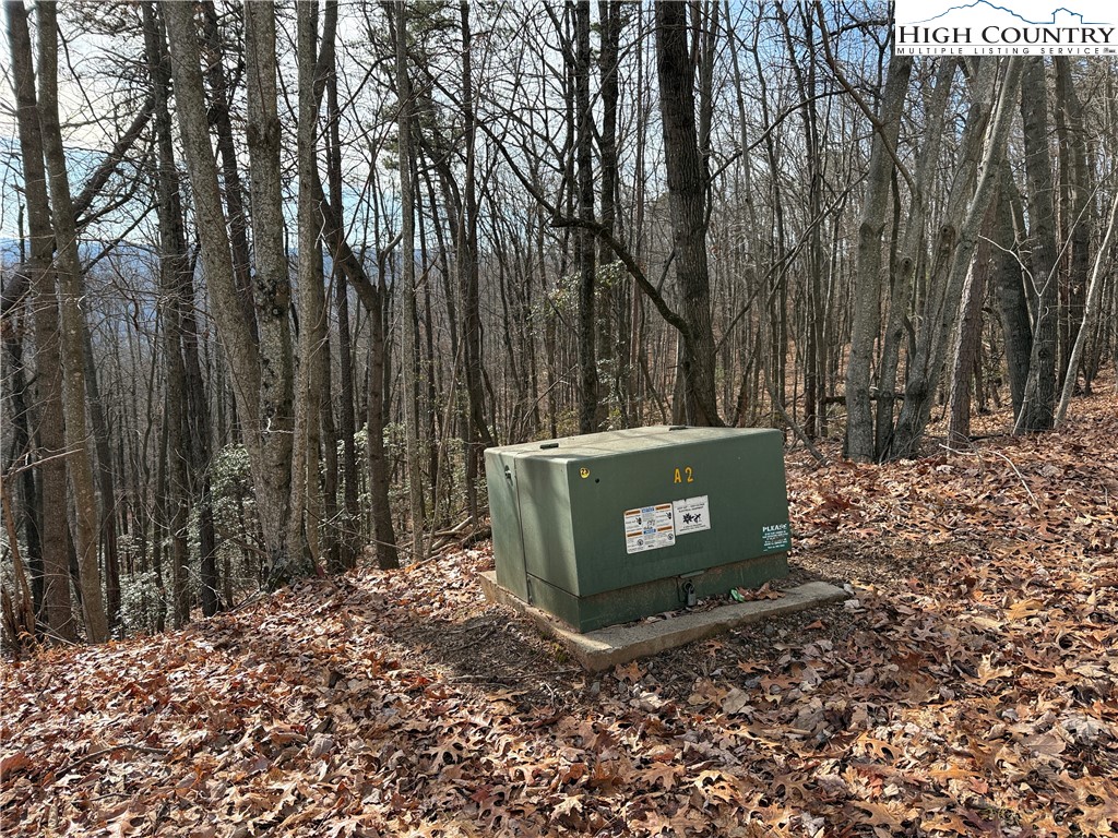 Lot 36 Bobcat Mountain Road Purlear, NC 28665 - Photo 8 of 37