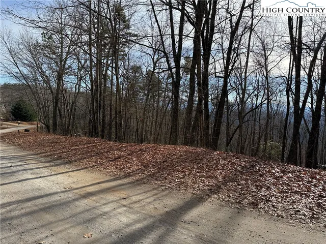 $44,900 | Lot 36 Bobcat Mountain Road, Purlear, NC 28665