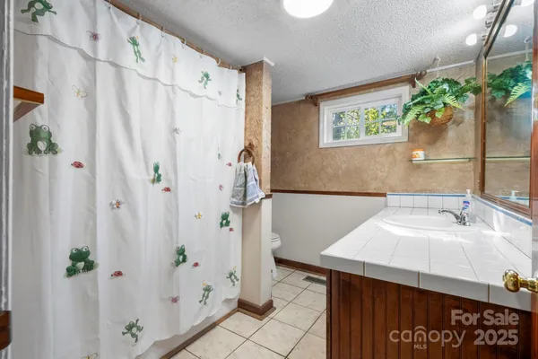 a bathroom with a sink and a shower