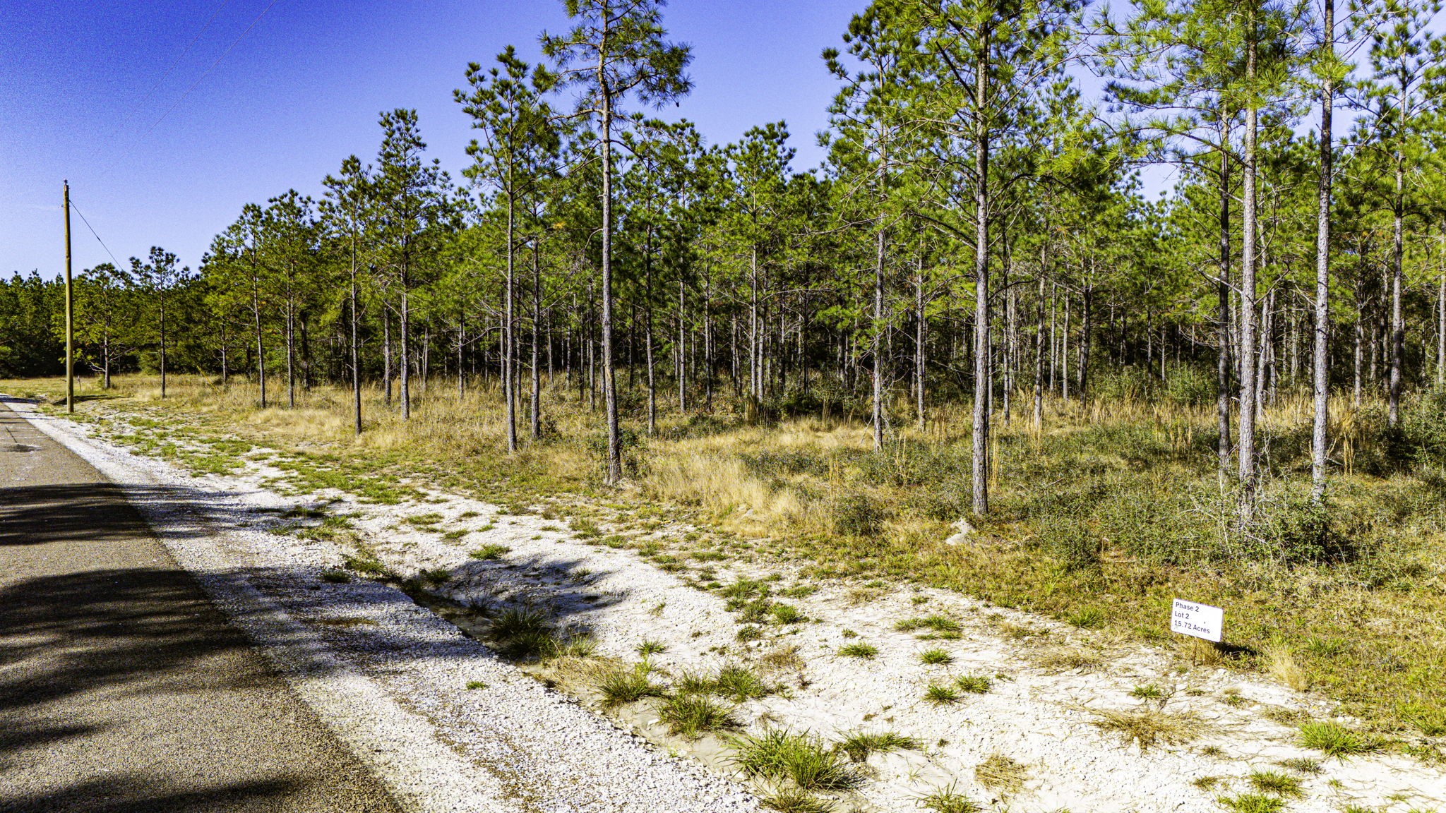 22 Magnolia Ranch Road Onalaska, TX 77360 - Photo 5 of 14 a view of a yard with trees