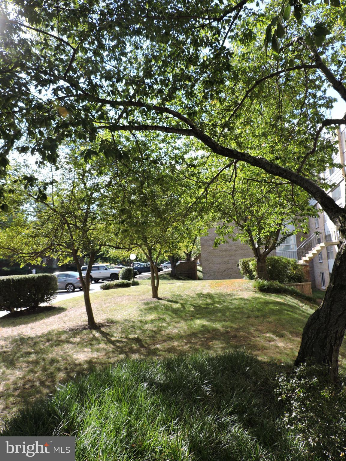 3946 Bel Pre Road, Unit 4 Silver Spring, MD 20906 - Photo 5 of 12 a view of an outdoor space with yard