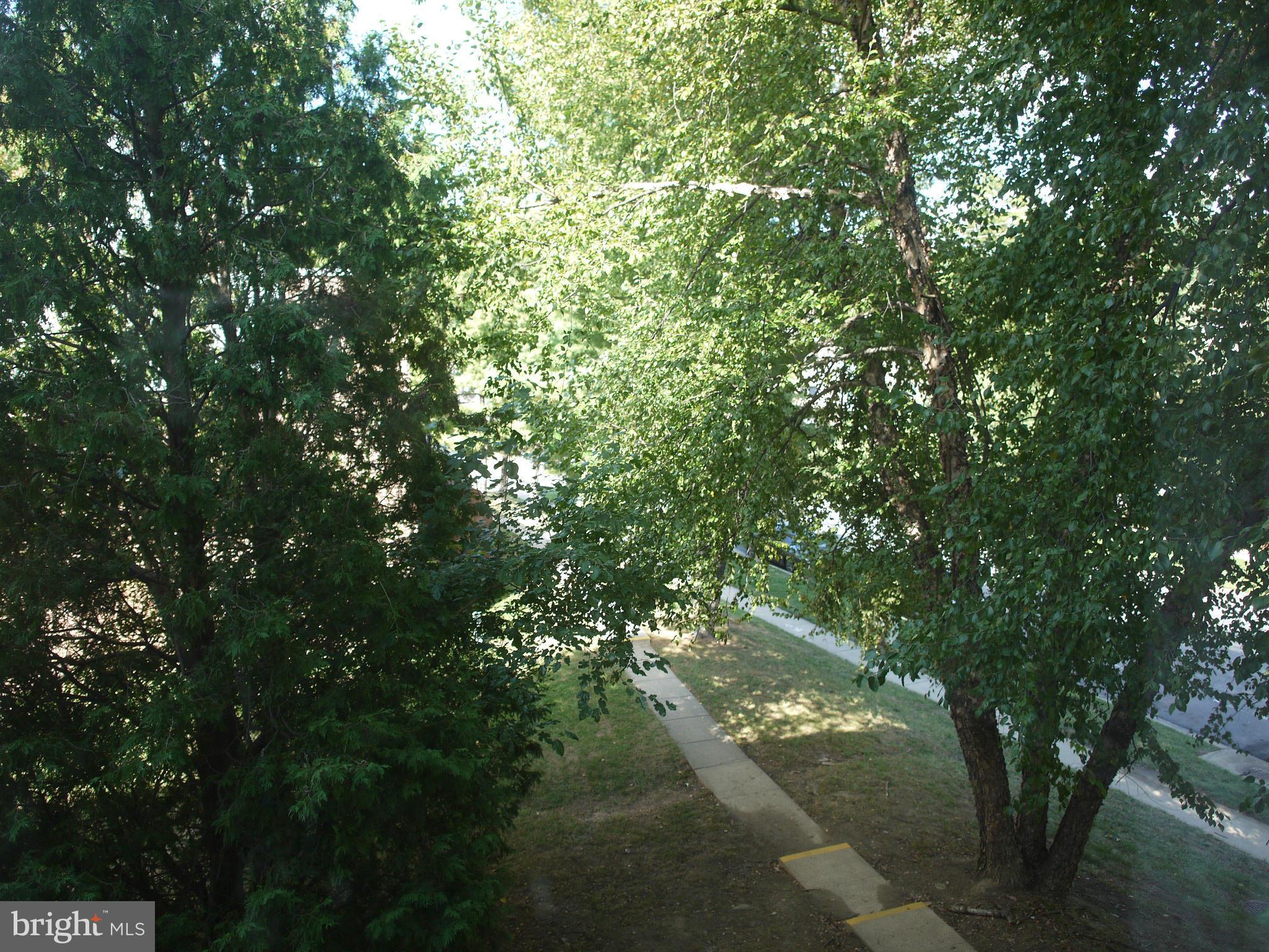 3946 Bel Pre Road, Unit 4 Silver Spring, MD 20906 - Photo 6 of 12 a view of tree