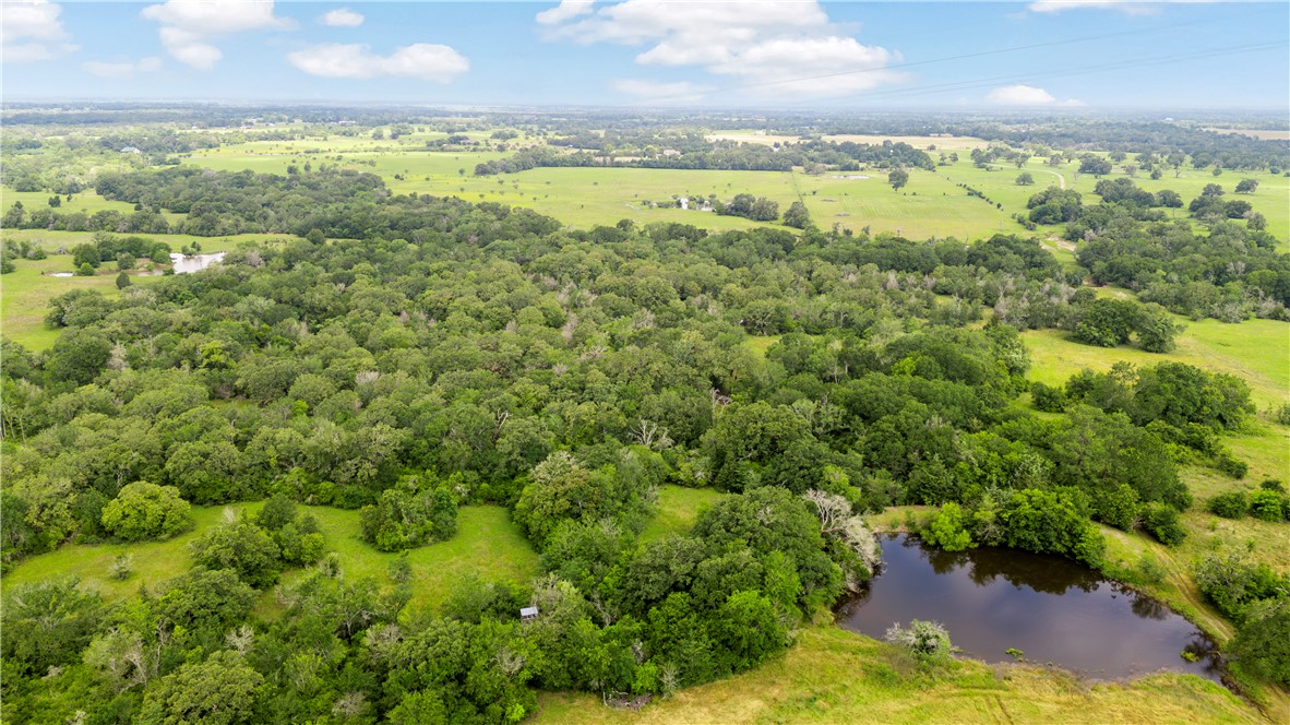 Tbd Tbd Plata Way Bryan, TX 77808 - Photo 19 of 25