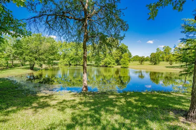 a view of a yard with a tree