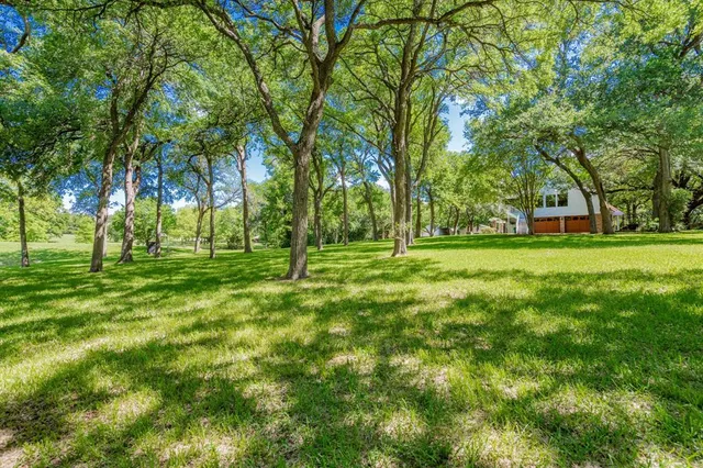 a backyard of a house with lots of green space and trees all around