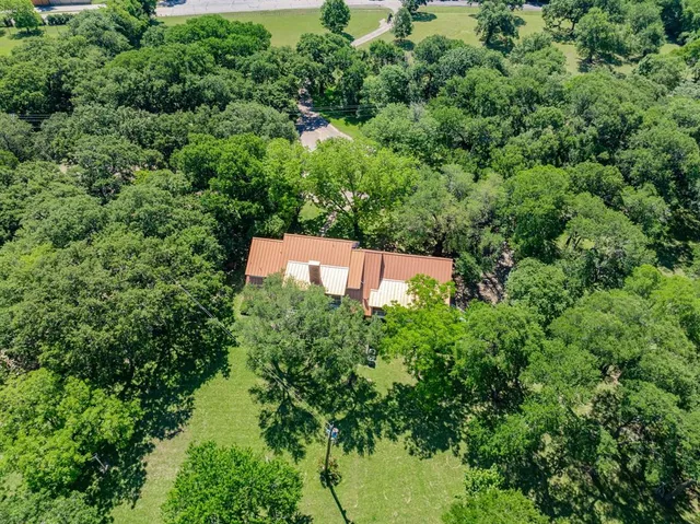 a view of a garden from a patio