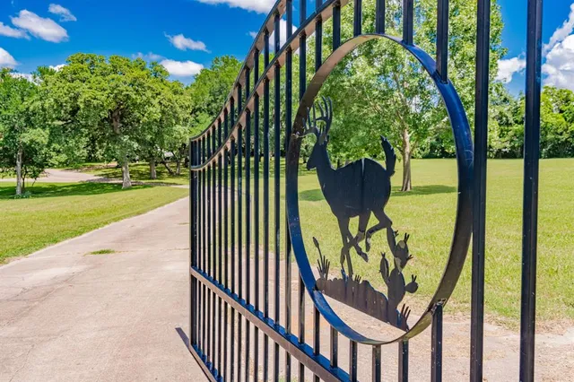 a view of a park with large trees