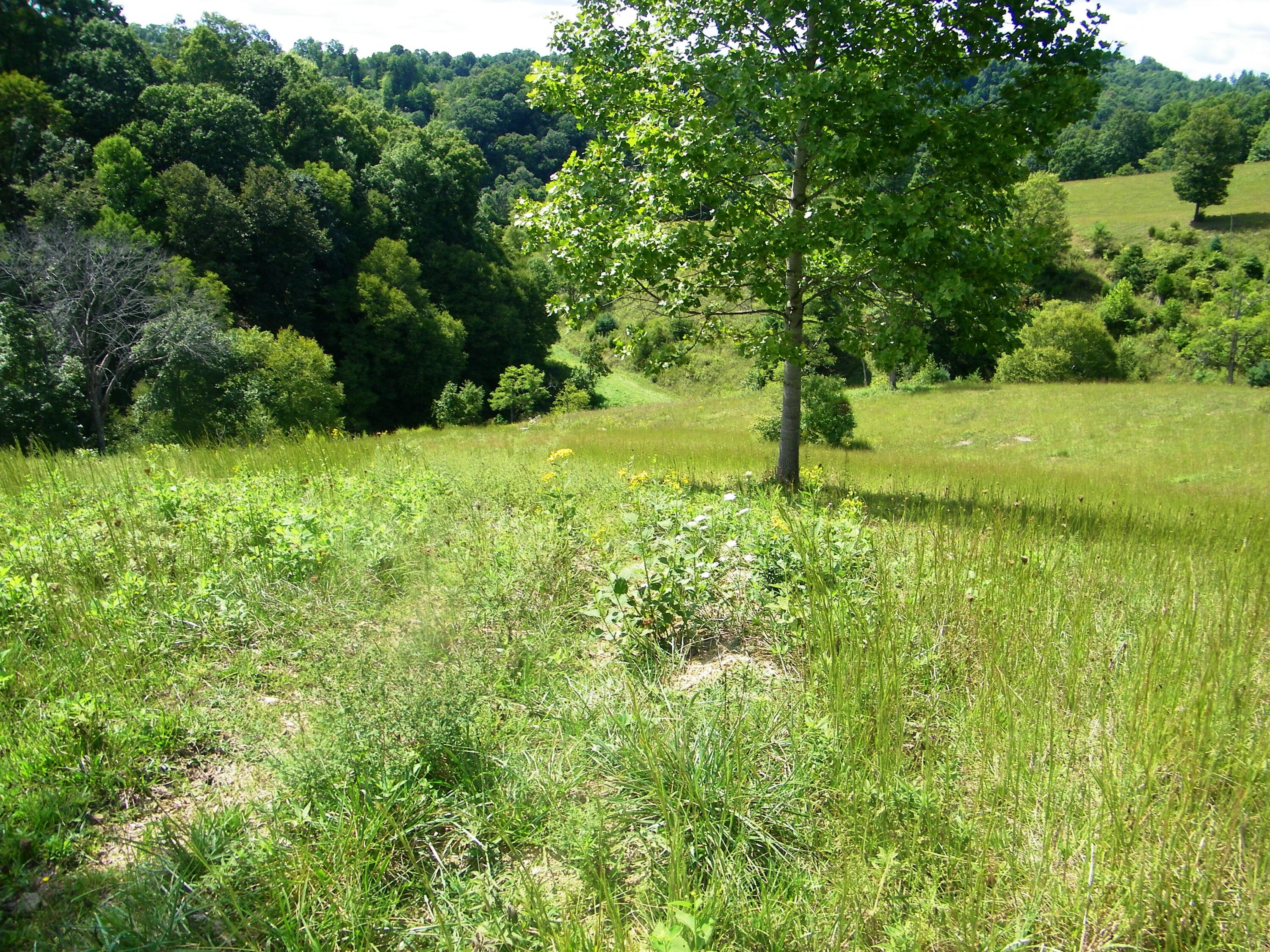 1629 Shelleys Road Bristol, VA 24202 - Photo 2 of 82 100_0115