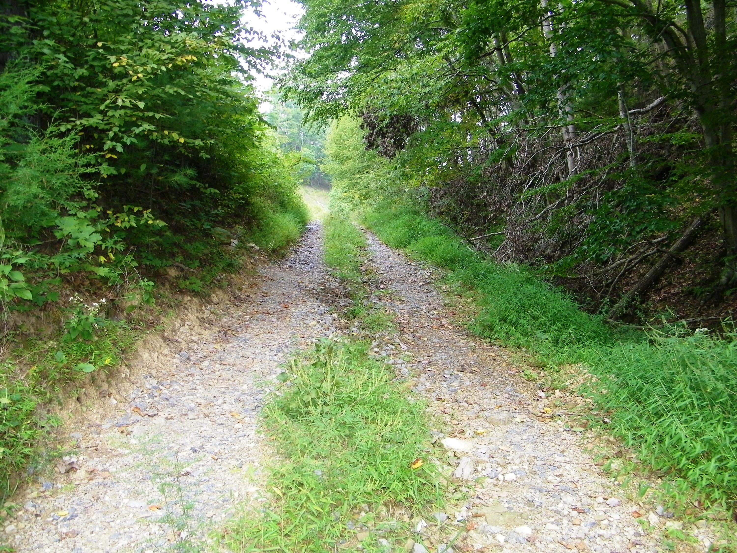 1629 Shelleys Road Bristol, VA 24202 - Photo 22 of 82 100_0136