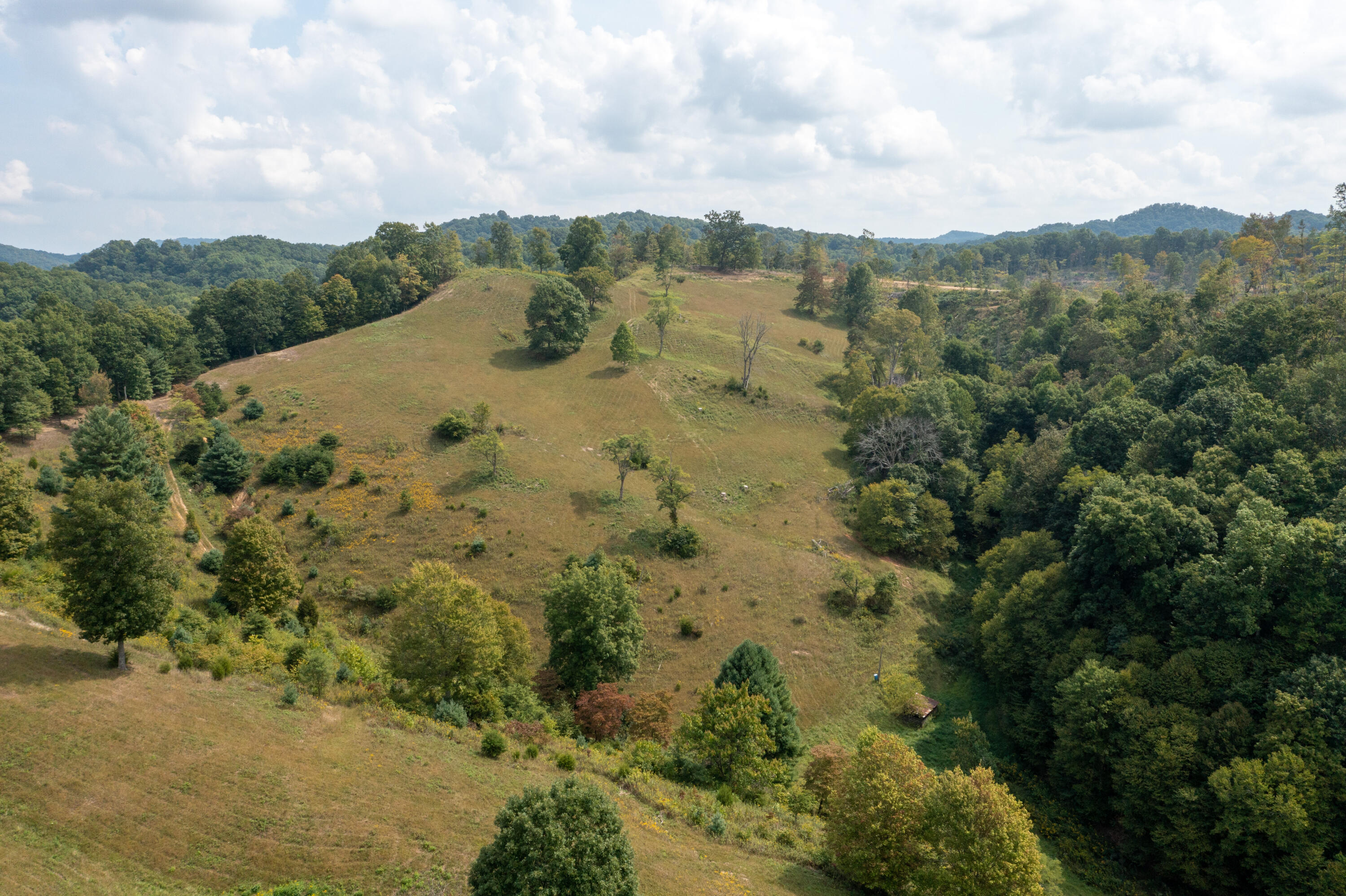 1629 Shelleys Road Bristol, VA 24202 - Photo 41 of 82 Shlleys Rd-28