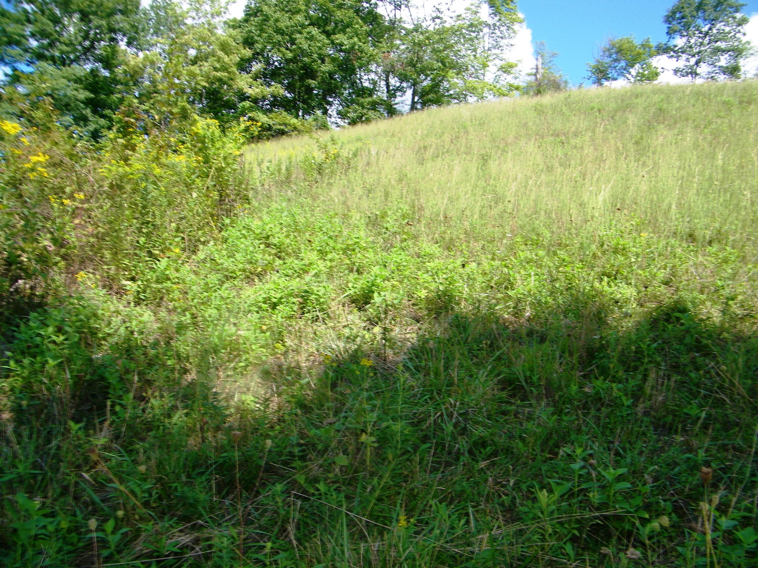 1629 Shelleys Road Bristol, VA 24202 - Photo 9 of 82 100_0120