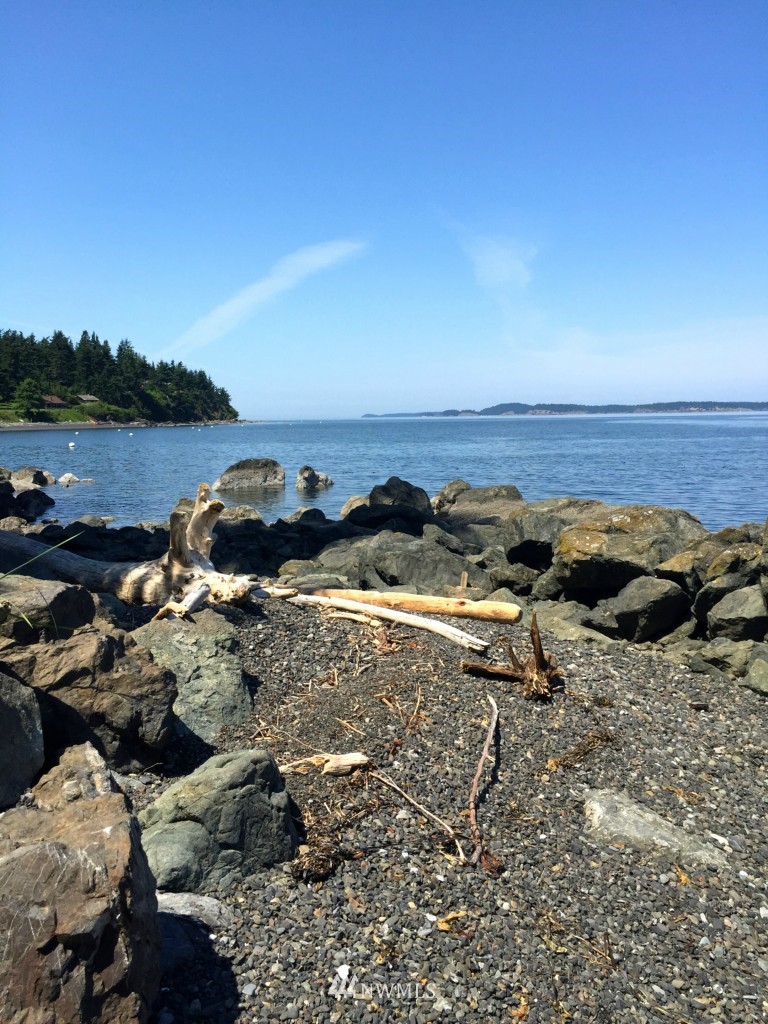 383 Raccoon Point Road Orcas Island, WA 98245 - Photo 17 of 23 Gallery Image 17