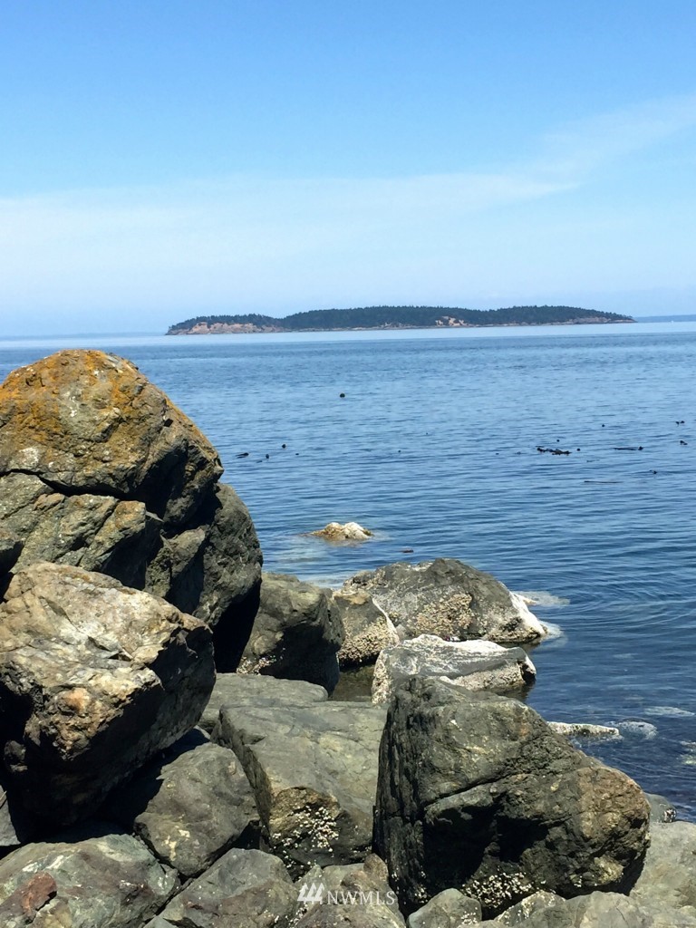 383 Raccoon Point Road Orcas Island, WA 98245 - Photo 18 of 23 Gallery Image 18